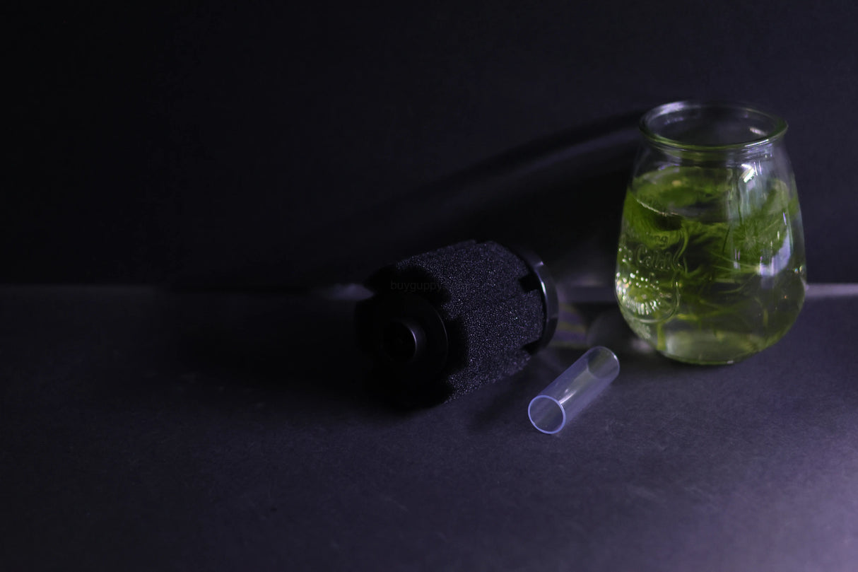 Sponge Filter (Up to 20 gallon)