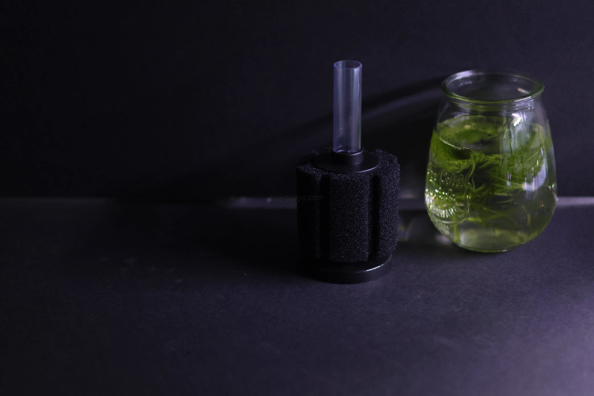 Sponge Filter (Up to 20 gallon)