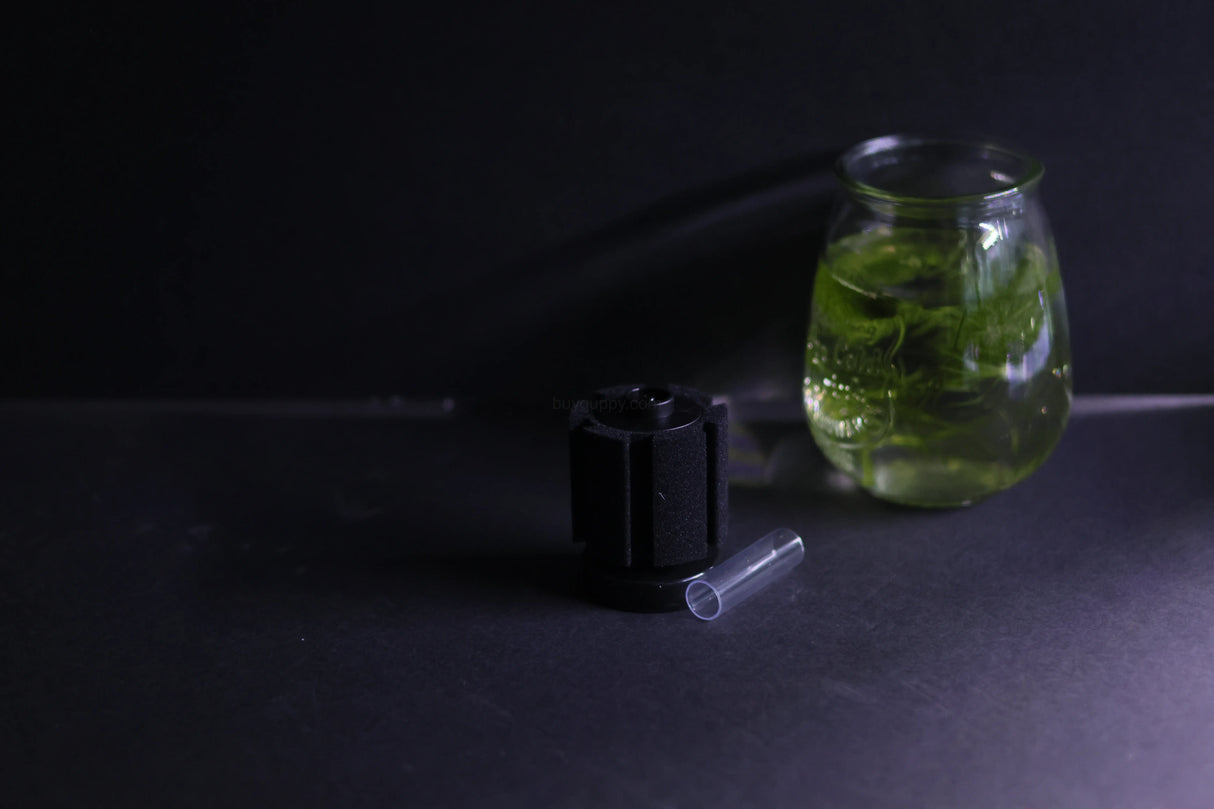 Sponge Filter (Up to 10 Gallon Aquarium)