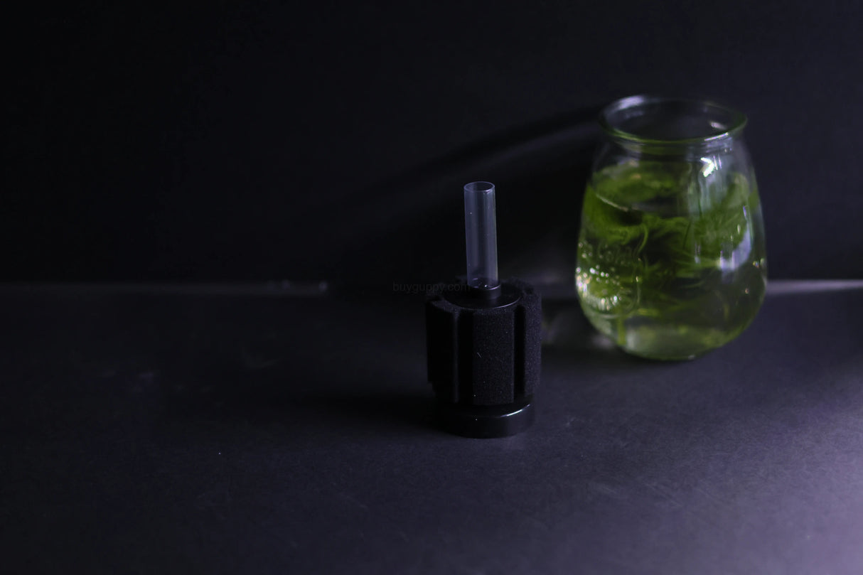 Sponge Filter (Up to 10 Gallon Aquarium)