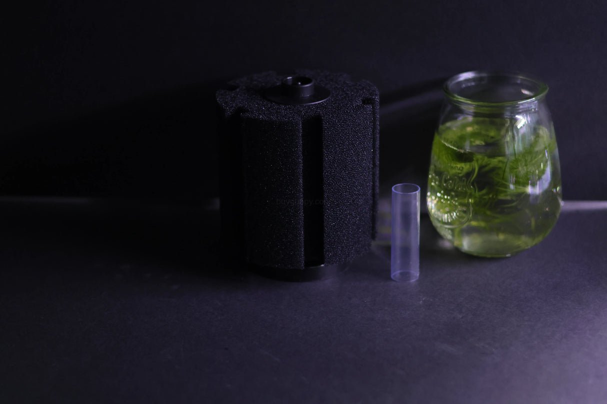 Sponge Filter (Up to 60 gallons)