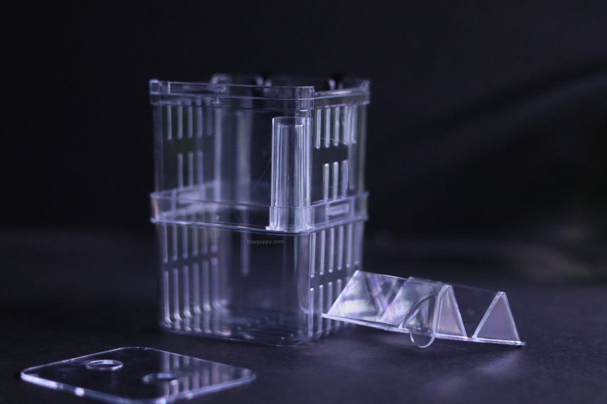 Guppy Breeder Box (Small)