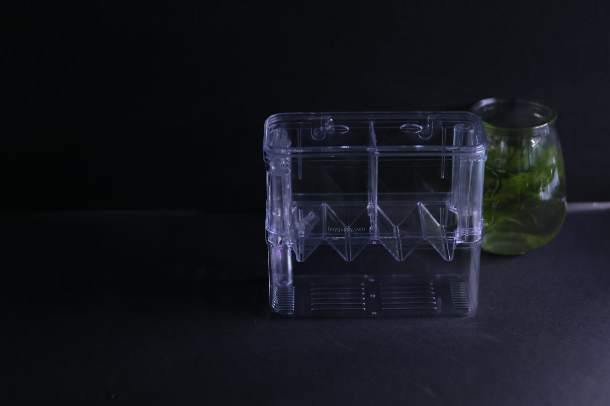 Guppy Breeder Box (Large)