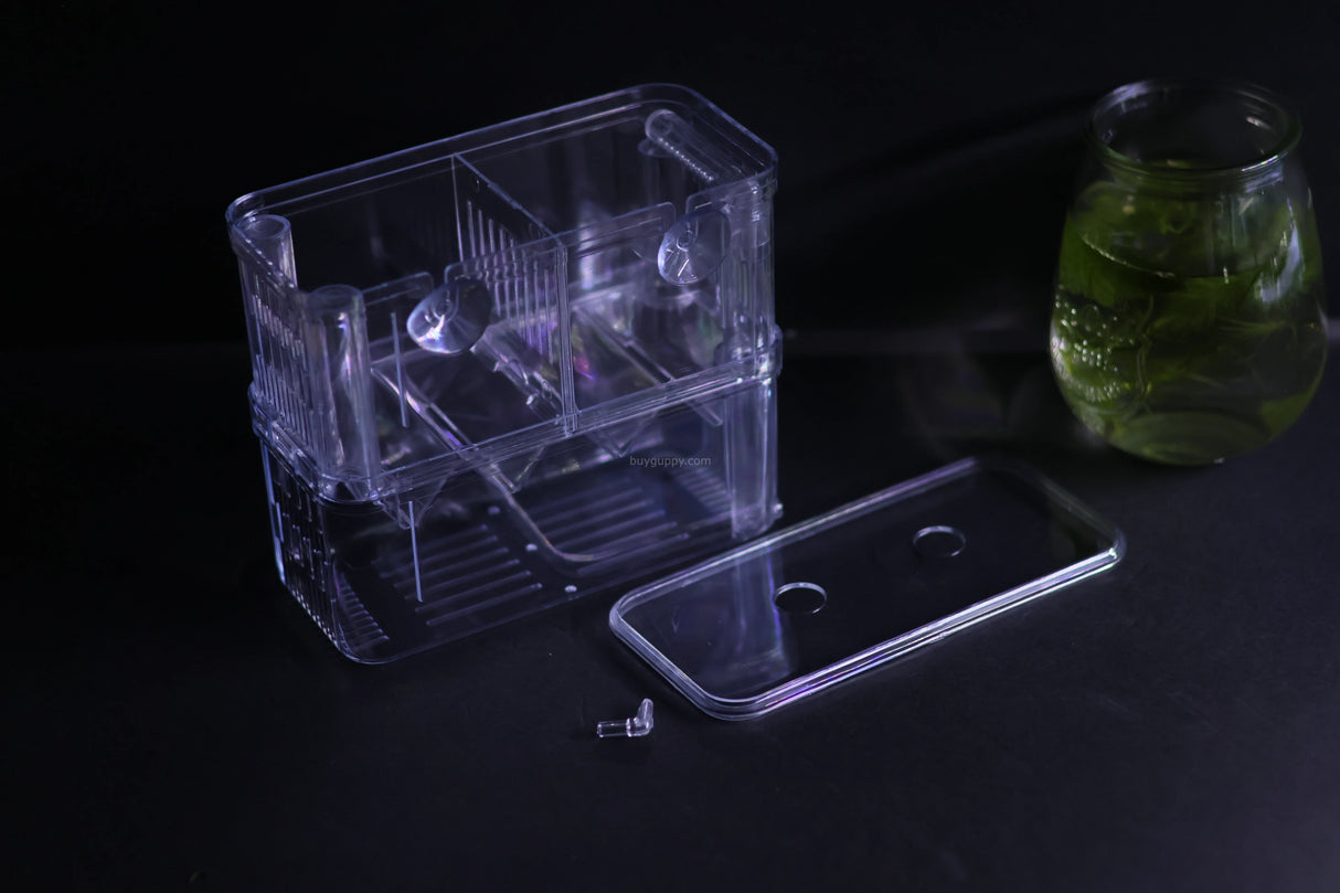 Guppy Breeder Box (Large)