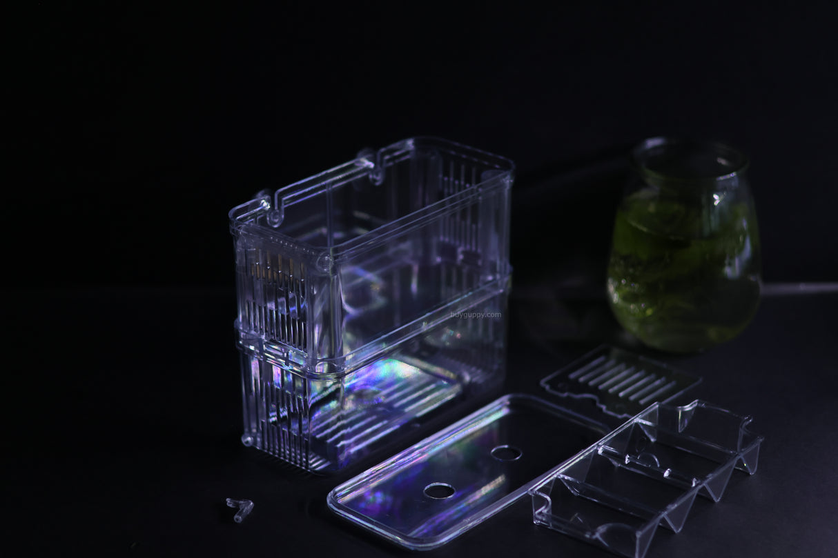 Guppy Breeder Box (Large)