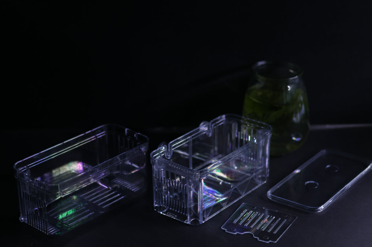 Guppy Breeder Box (Large)