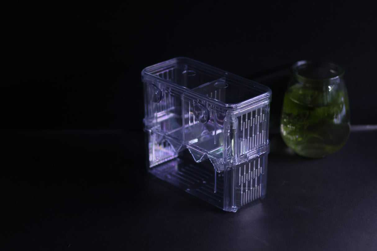 Guppy Breeder Box (Large)