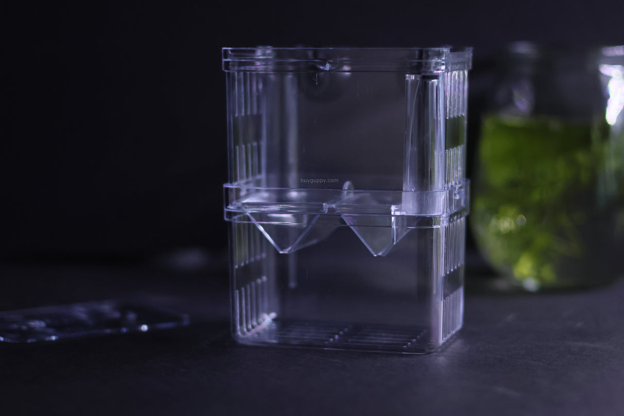 Guppy Breeder Box (Small)
