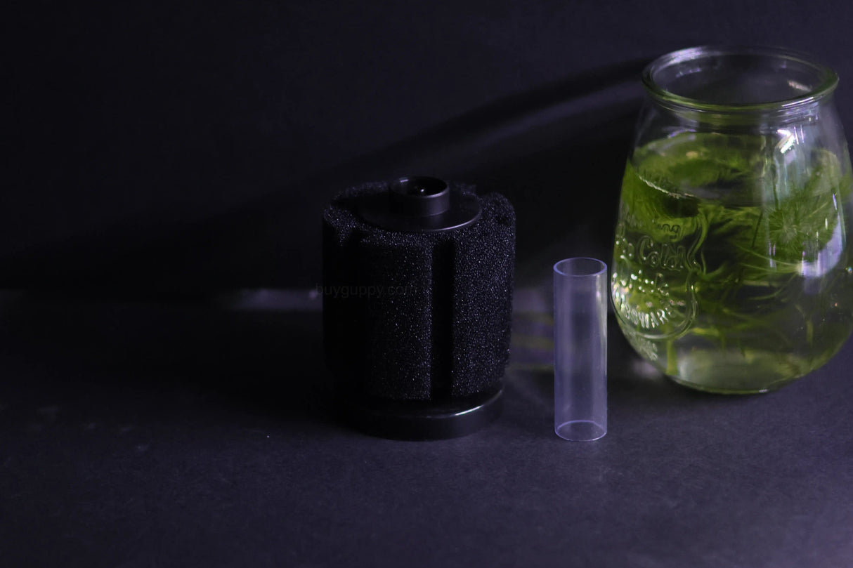Sponge Filter (Up to 20 gallon)