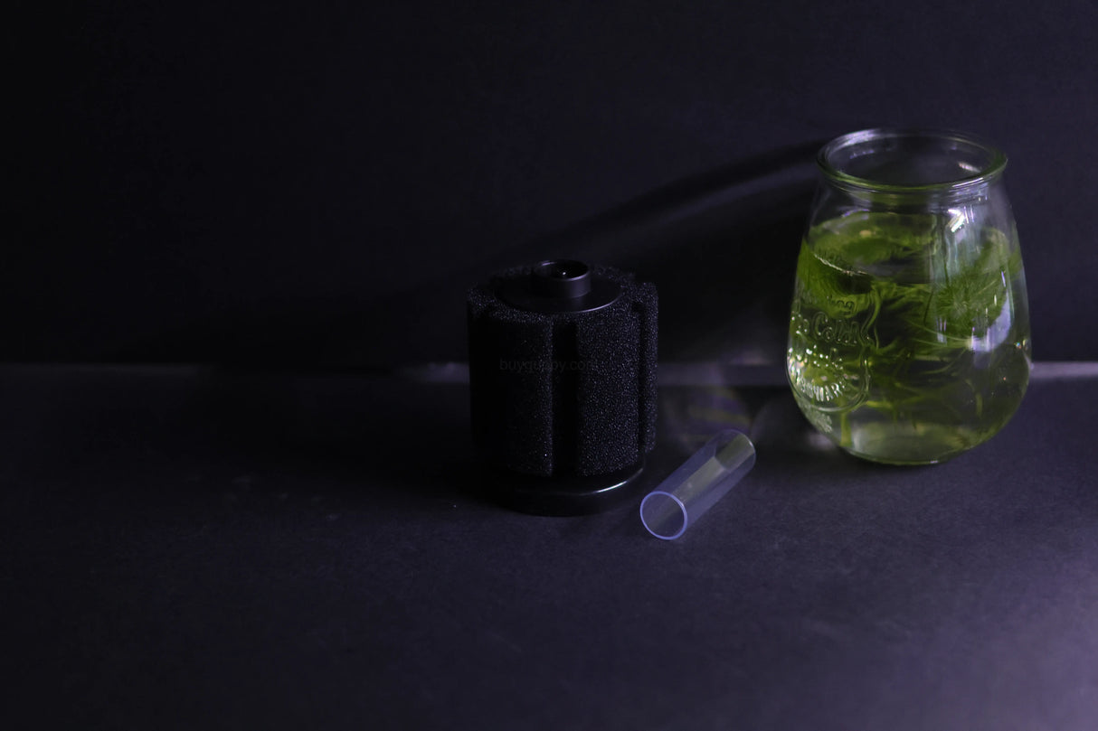 Sponge Filter (Up to 20 gallon)