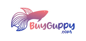 BuyGuppy.com