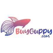 Buy guppy fish online logo