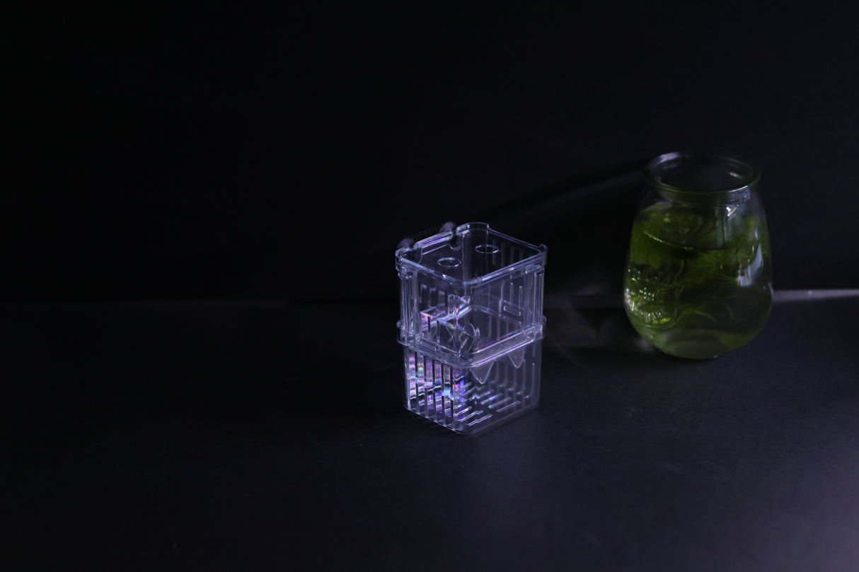 Guppy Breeder Box (Small)
