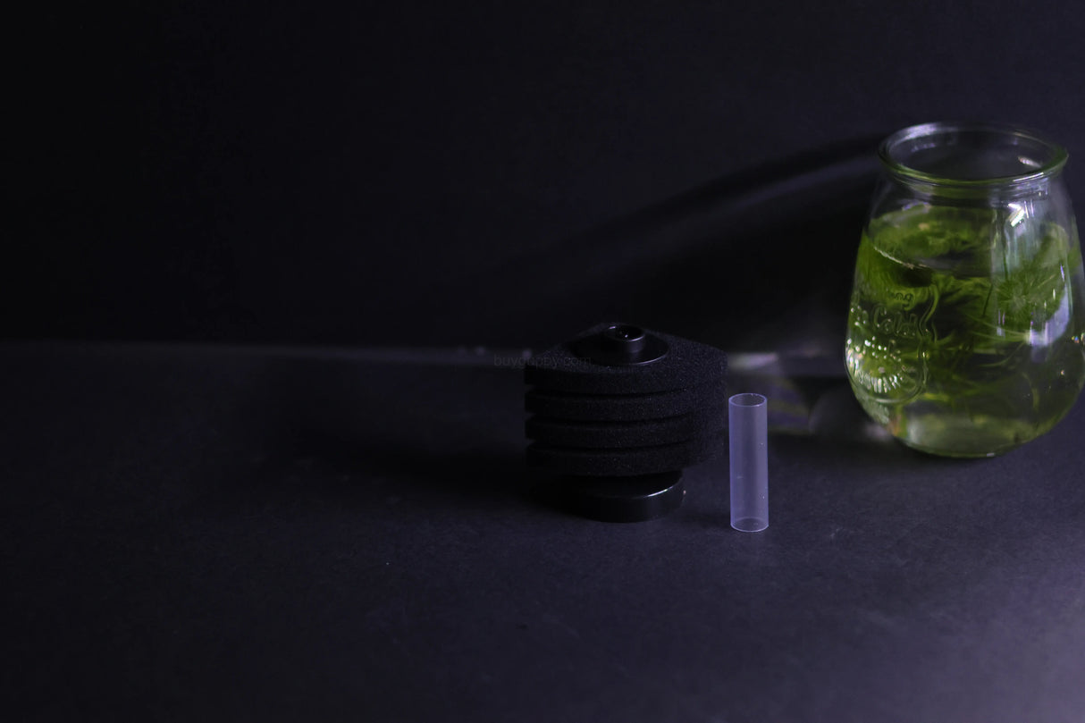 Sponge Filter (Up to 10 Gallon Aquarium)