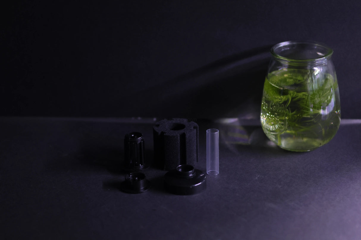 Sponge Filter (Up to 10 Gallon Aquarium)