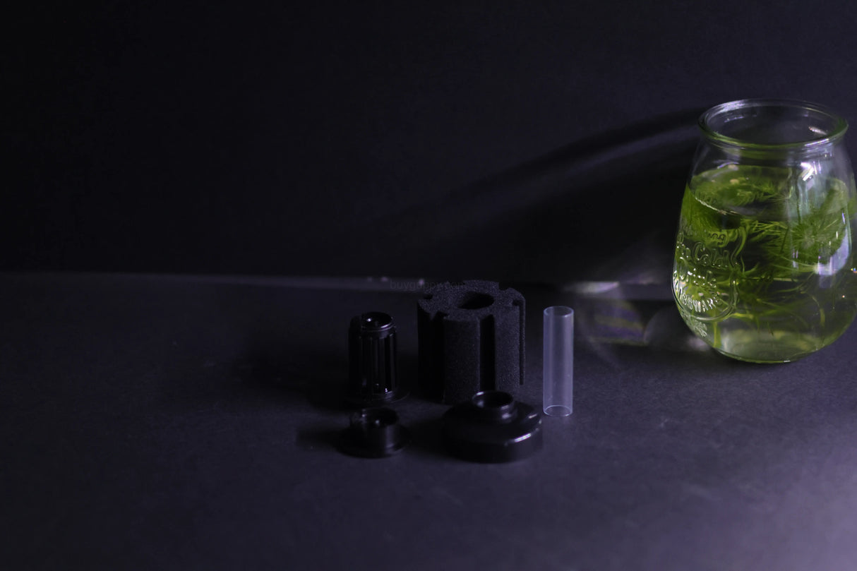 Sponge Filter (Up to 10 Gallon Aquarium)