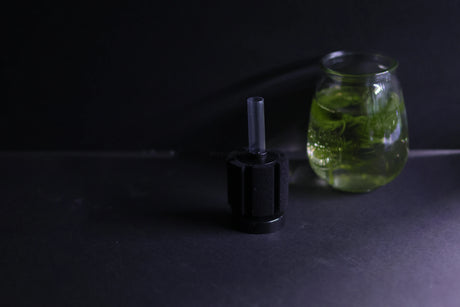 Sponge Filter (Up to 10 Gallon Aquarium)