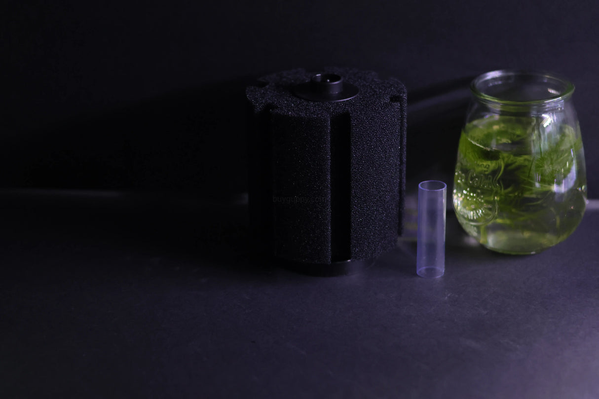 Sponge Filter (Up to 60 gallons)