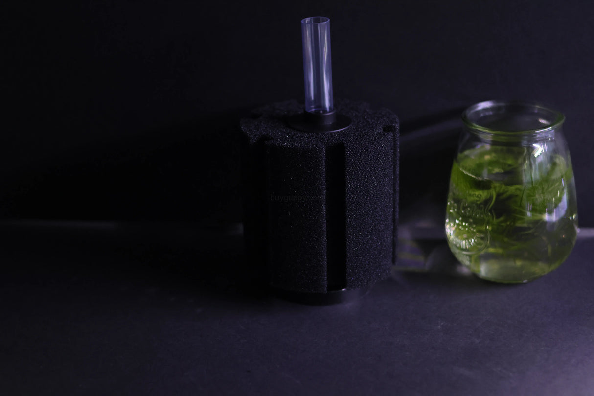 Sponge Filter (Up to 60 gallons)