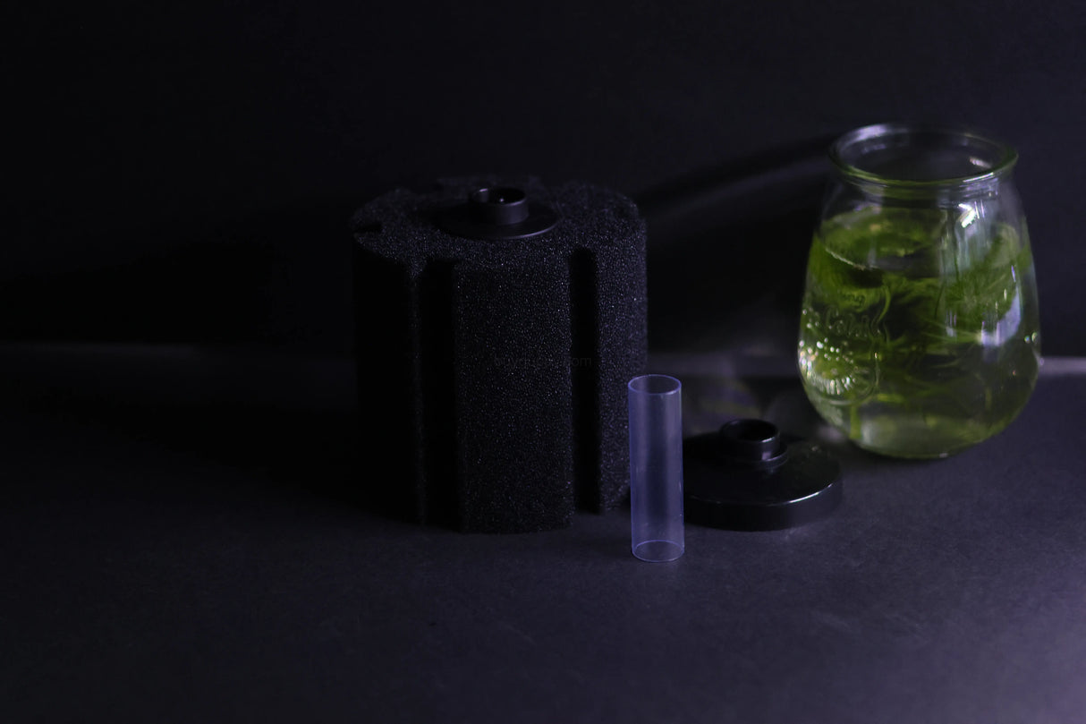 Sponge Filter (Up to 60 gallons)