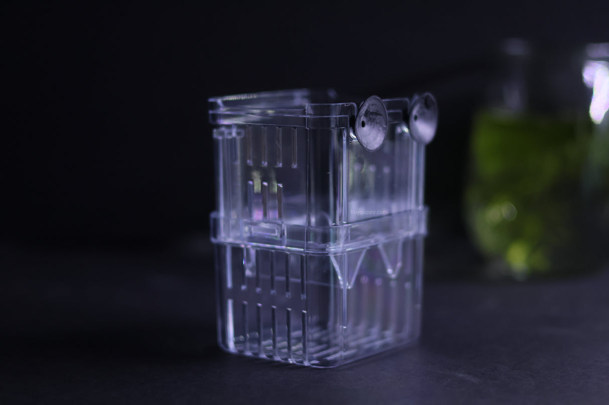 Guppy Breeder Box (Small)