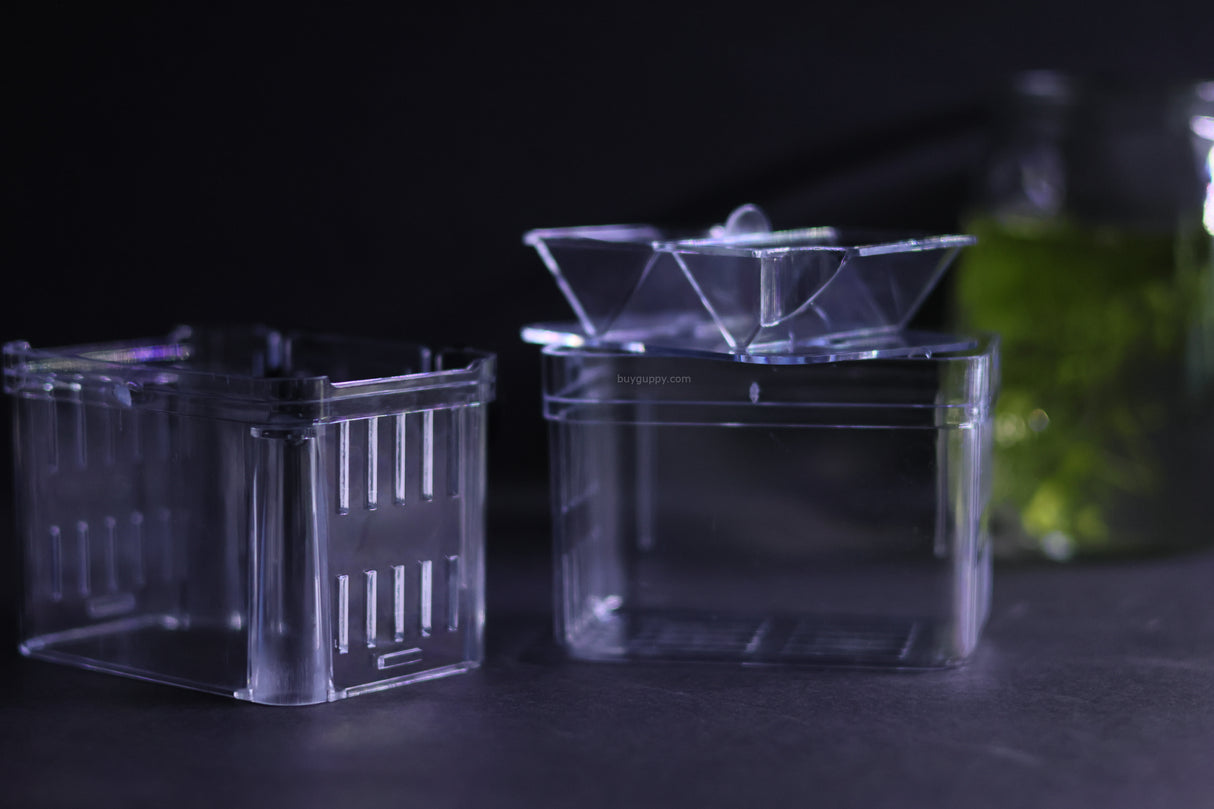 Guppy Breeder Box (Medium)