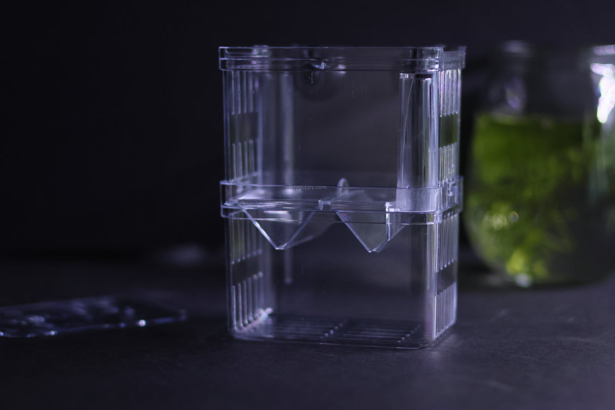 Guppy Breeder Box (Medium)
