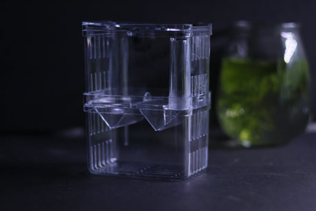 Guppy Breeder Box (Medium)