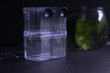 Guppy Breeder Box (Small)